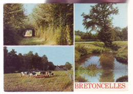 61 - BRETONCELLES - MULTIVUES - 11579 - Andere & Zonder Classificatie