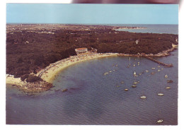 85 - ILE-de-NOIRMOUTIER - LA PLAGE DES DAMES ET LE BOIS DE LA CHAIZE - ANIMÉE - 11510 - Ile De Noirmoutier