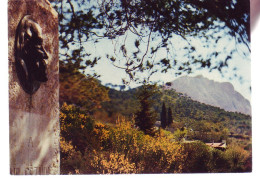 13 - AIX-en-PROVENCE - MEDAILON SOUVENIR DE PAUL CEZANNE ET MONTAGNE SAINTE-VICTOIRE - 19681 - Aix En Provence