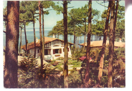 40 - VILLA DANS LA PINEDE AU BORD DE L'OCEAN - 19653 - Autres & Non Classés