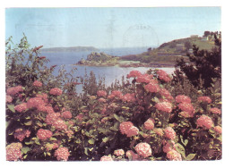 22 - PERROS-GUIREC - LA POINTE DU CHATEAU - 19559 - Perros-Guirec