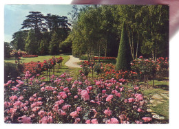 45 - ORLEANS - PARC FLORAL - UNE ROSERAIE - 19355 - Orleans