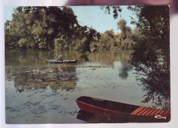 89 - LES BORDS DE L''YONNE - 19294 - Sonstige & Ohne Zuordnung