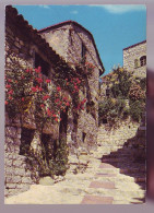 06 - EZE - VIEILLE RUE - 19122 - Eze