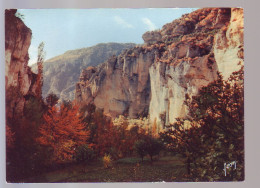 48 - GORGES DU TARN - CIRQUE DES BAUMES - 19101 - Gorges Du Tarn