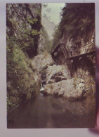 66 - ARLES-sur-TECH - CASCADES ET ROCHERS - 19087 - Andere & Zonder Classificatie