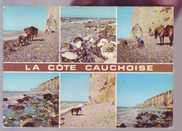 76 - LA COTE CAUCHOISE - LE RAMASSAGE DES GALETS - ANIMÉE - 12703 - Otros & Sin Clasificación