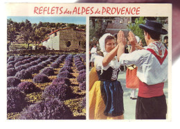 04 - CHAMP DE LAVANDE ET DANSES FOLKLORIQUE - ANIMÉE  - 19992 - Autres & Non Classés