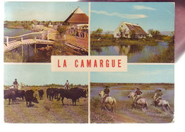 13 - LA CAMARGUE - MULTIVUES - 19988 - Andere & Zonder Classificatie
