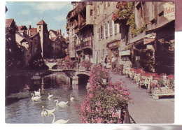 74 - ANNECY - LE CANAL DE THIOU - 19860 - Annecy