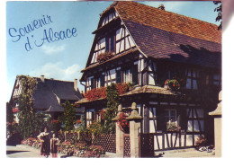 LA FOLKLORE EN ALSACE - ANIMÉE - 19789 - Alsace