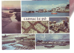 56 - CARNAC - LE PO - MULTIVUES - 19737 - Carnac