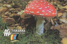 Amanita Muscaria, Mushrooms, Czech Rep., 2004, 90 X 60 Mm - Tamaño Pequeño : 2001-...