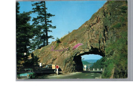 LES HAUTES VOSGES - La Roche Du Diable Le Col De La Schlucht 1970 Route Voiture Bleu - Sonstige & Ohne Zuordnung