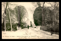 51 - SAINT-BRICE - ENTREE DU VILLAGE - Autres & Non Classés