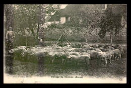 51 - BOUCHY-SAINT-GENEST - ELEVAGE DE CHOMME, BOUCHERIE DE PORCS - Sonstige & Ohne Zuordnung