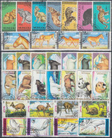 MONGOLIA, ANIMALS, CATS, GOATS, BEARS, DOE, BIRDS, DONKEYS, SIX COMPLETE USED SERIES With GOOD QUALITY - Autres & Non Classés