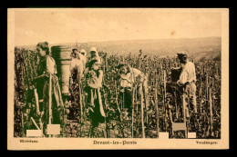 57 - DEVANT-LES-PONTS - LES VENDANGES - VIGNES - Autres & Non Classés