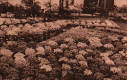 CPA - GENT - Floralies Gantoises 1933.... Edition Th.De Graeve - Gent