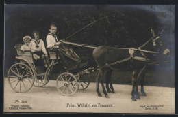 AK Prinz Wilhelm Von Preussen Als Knabe Im Eselswagen  - Königshäuser