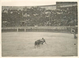 Corrida - Photographie De 110 X 83 Mm - Exemplaire Unique - CPM - Voir Scans Recto-Verso - Stierkampf