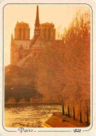 75 - Paris - Cathédrale Notre Dame - Coucher De Soleil - Carte Neuve - CPM - Voir Scans Recto-Verso - Notre Dame De Paris