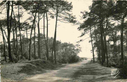 17 - Ile D'Oléron - La Route Dons La Forêt Conduisant à La Plage De Vert-Bois - Mention Photographie Véritable - Carte D - Ile D'Oléron