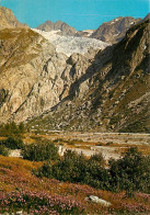 38 - Isère - L'Oisans - Nelges-Cordier (3.613 M.) Et Le Glacier Blanc, Vus De Cézanne (1.875 M) - Carte Neuve - CPM - Vo - Sonstige & Ohne Zuordnung