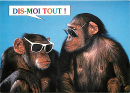 Animaux - Singes - Chimpanzé - Carte à Message - CPM - Voir Scans Recto-Verso - Monkeys