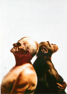 Animaux - Singes - Chimpanzé - CPM - Voir Scans Recto-Verso - Monos