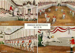 Animaux - Chevaux - Autriche - Vienne - Ecole D'équitation De La Cour Espagnole - Multivues - CPM - Voir Scans Recto-Ver - Caballos