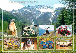 Animaux - La Montagne En été - Marmotte - Moutons - Bouquetin - Chien St Bernard - CPM - Voir Scans Recto-Verso - Otros & Sin Clasificación