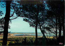 34 - Cap D'Agde - Le Plan D'eau Vu Du Mont Saint Martin - CPM - Voir Scans Recto-Verso - Agde