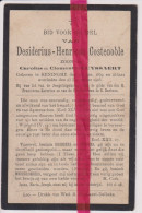 Devotie Doodsprentje Overlijden - Désiderius Costenoble Zoon Carolus & Clementia Luyssaert - Reninge 1859 - 1905 - Obituary Notices