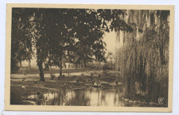 Vichy, Les Parcs Et Le Nouveau Bassin Des Cygnes (lt 10) - Vichy