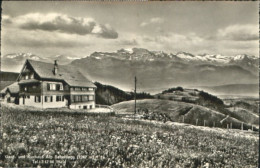 10550008 Wald ZH Gasthaus Alp Scheidegg X 1945 Wald ZH - Otros & Sin Clasificación