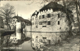 10549906 Seengen AG Schloss Hallwyl Seengen - Altri & Non Classificati