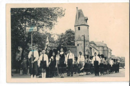 Carte Photo Accordéon Club Vieux Mulhouse 1952 (68) - Mulhouse