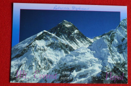 Delcampe - Signed Rebecca Stephens First English Woman To Summit Everest Himalaya Mountaineering Escalade Alpinisme - Sportivo