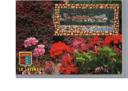 LE LAVANDOU 83 - Vue Générale Sur La Plage Et Jardin Florale Fleur Géranium 1985 - Le Lavandou