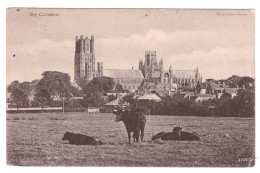 ELY Cathedral (carte Animée) - Ely