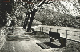 10549627 Baden AG Baden Limmatpromenade X 1940 Baden - Autres & Non Classés