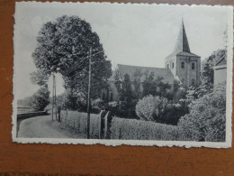 Heppeneert, De Kerk - Noorden --> Onbeschreven - Maaseik