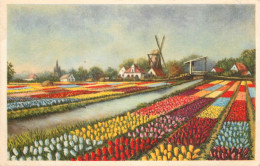 Postcard Netherlands Flower Fields Windmill - Other & Unclassified