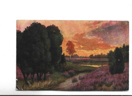 CPA  ALLEMANDE  PAYSAGE  FORET  (voir Timbre) - Paintings