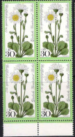 Berlin Poste N** Yv:518 Mi:556 Chrysanthemum Leucanthemum Bloc De 4 Bord De Feuille - Nuevos