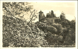 10549299 Arlesheim Arlesheim Schloss Birseck - Ermitage   Arlesheim - Autres & Non Classés