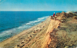 Postcard Netherlands Seashore Kruger Publishing Postcard - Other & Unclassified