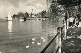 Postcard Germany Friedrichshafen Am Bodensee - Other & Unclassified