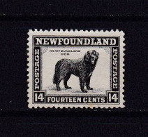 TERRE-NEUVE 1932 TIMBRE N°180B NEUF AVEC CHARNIERE CHIEN - 1908-1947